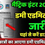 Bihar Board Matric Dummy Admit Card 2026